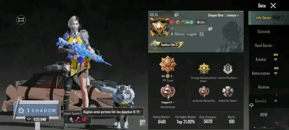 JUAL BELI AKUN PUBG MOBILEE