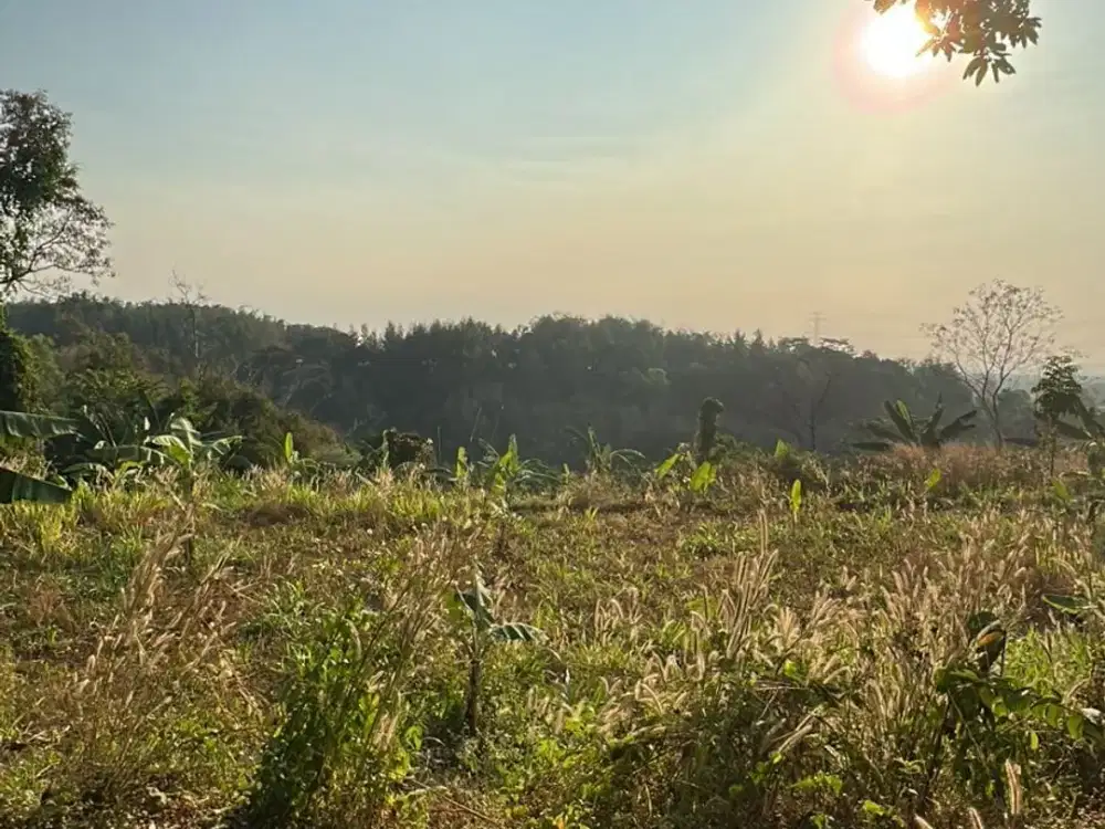 Raya Trawas Mojosari Jatijejer Pungging Mojokerto