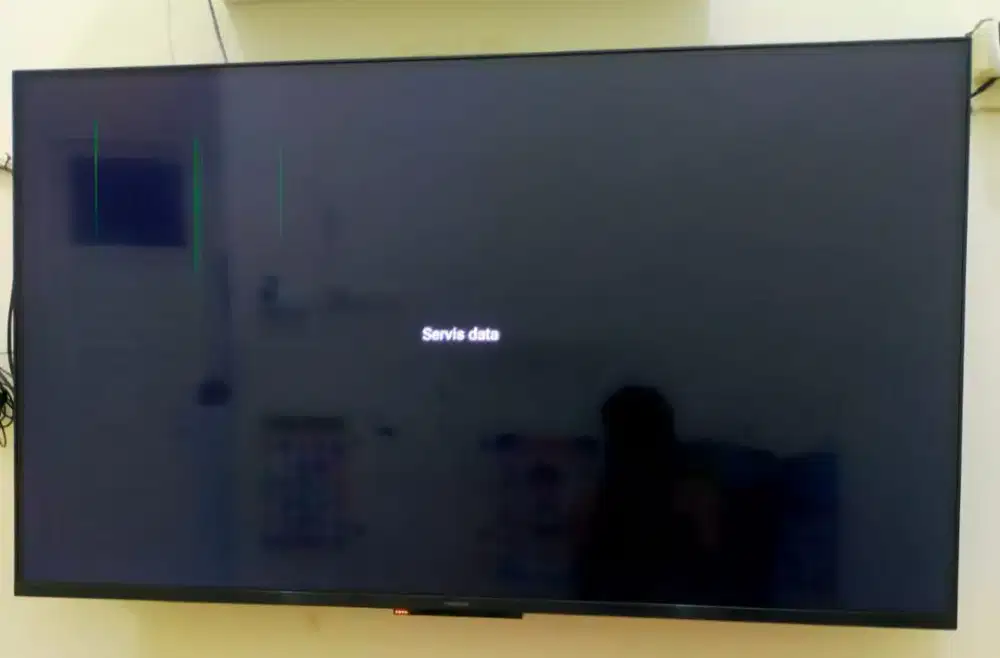 Televisi LED 55 inch Panasonic