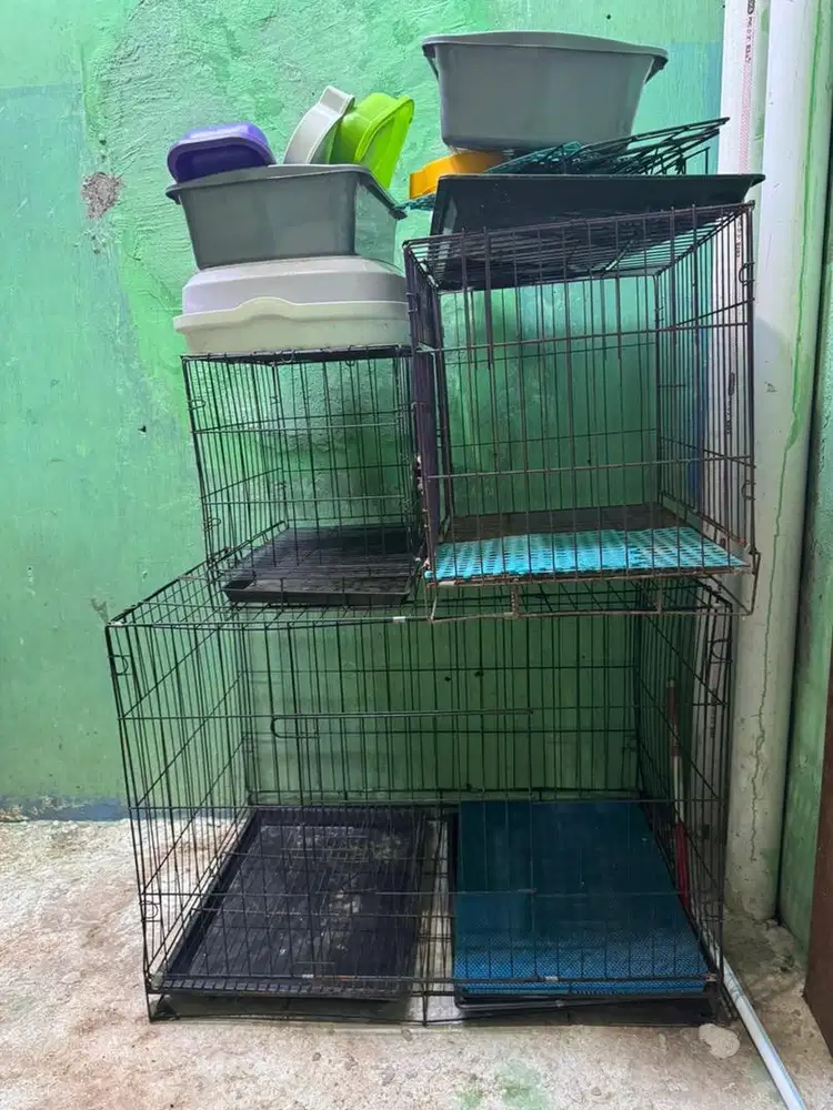 Kandang kucing kecil - besar