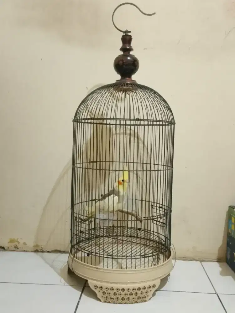 Hp , Falk, & trucuk fullset