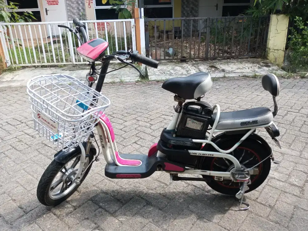 Selis Butterfly Hidup Normal