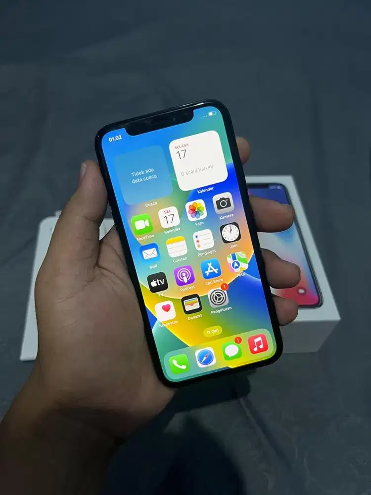 Iphone X 256 GB