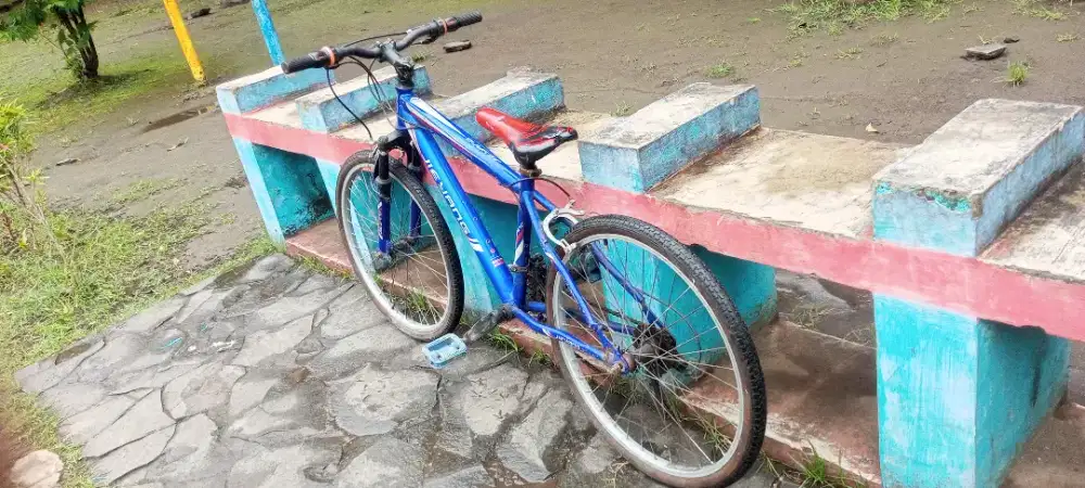 Sepeda gunung jieyang