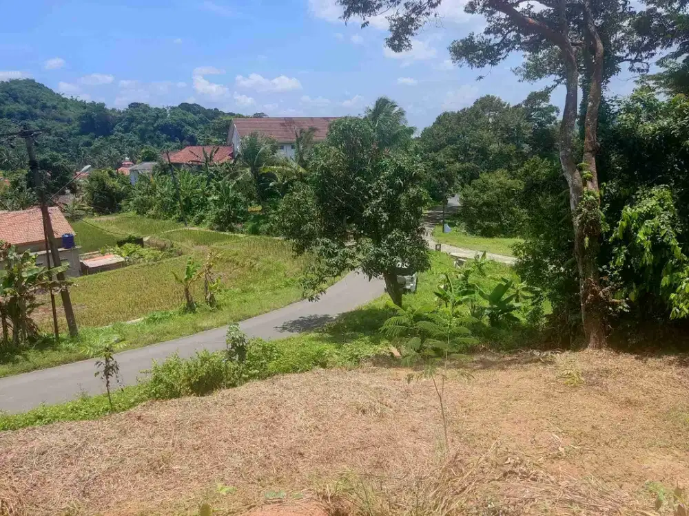 Tanah Pinggir Jalan Kabupaten Rumpin Bogor 3000 m² SHM Harga 350rb/m²