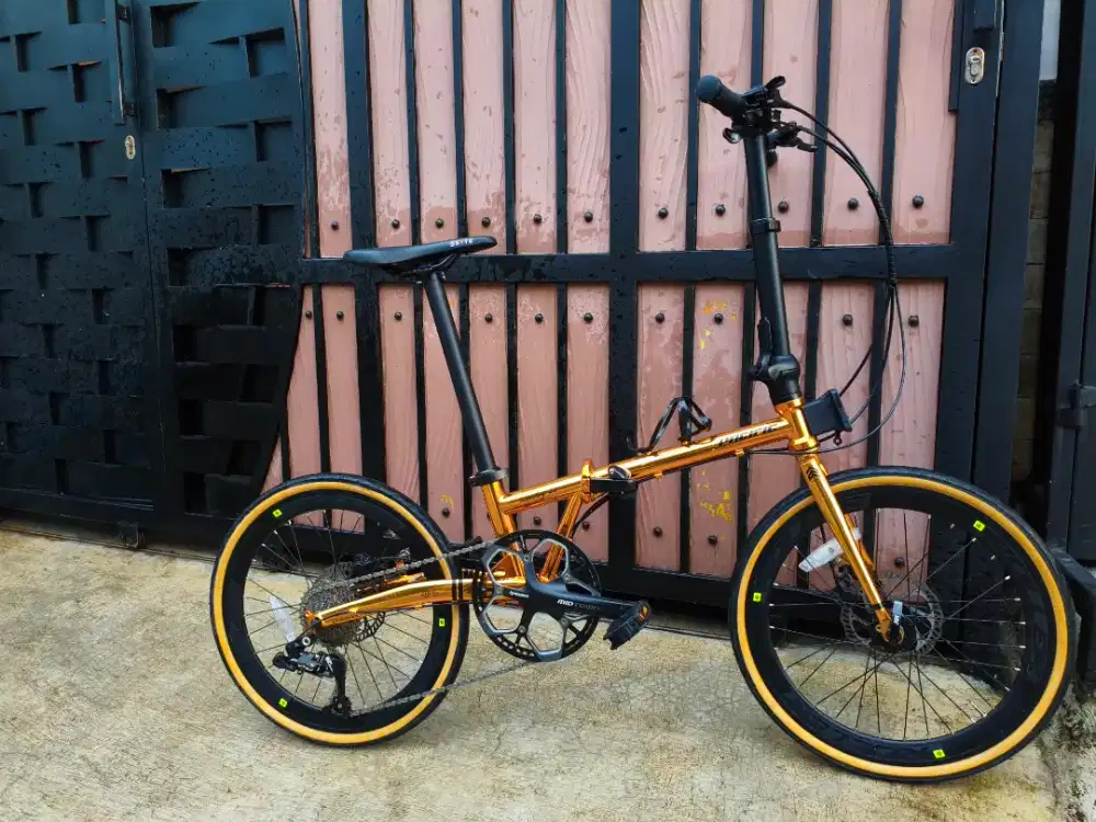 Pacific analog 2.2 20 inch