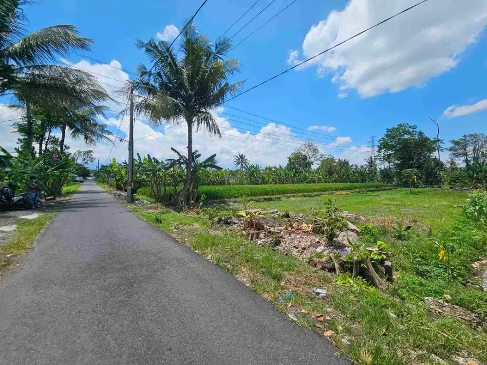 TANAH BAGUS MURAH DEKAT TENGKLENG GAJAH JL.KALIURANG KM 9 SINDUHARJO NGAGLIK SLEMAN