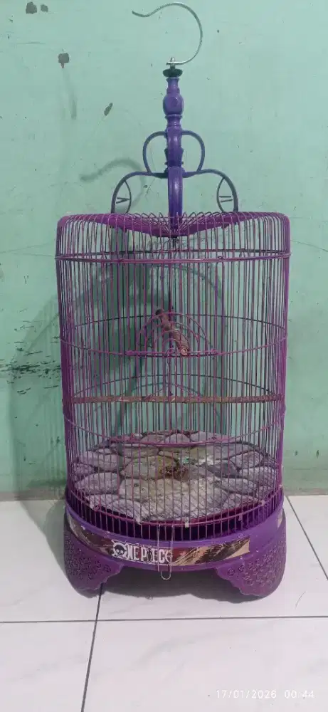 Kandang kapsul jumbo