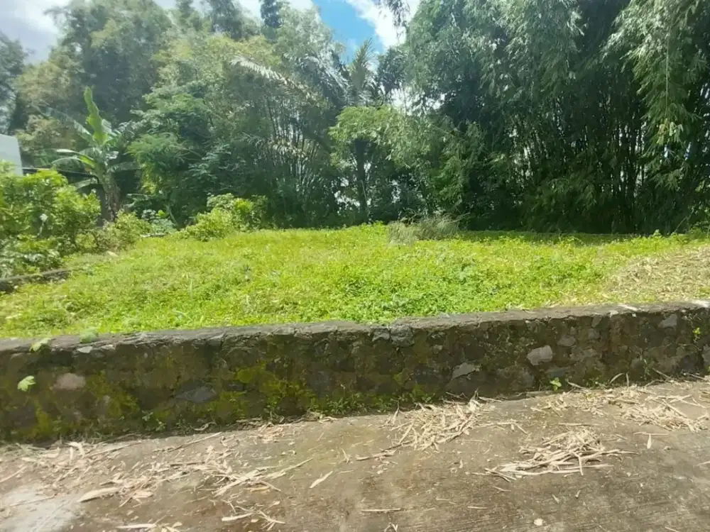 Dijual cepat tanah  pekarangan SHM siap bangun di lokasi sambiroto sangat strategis, Kondisi: Lahan sudah diurug & siap dibangun