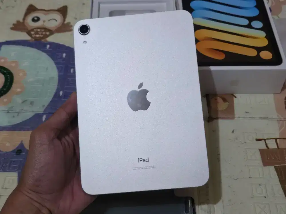 Ipad mini 6 256gb