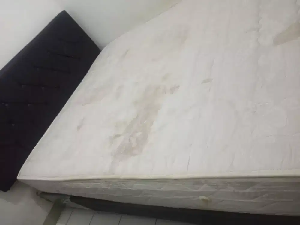 Spring Bed Mattress Eastern + Dipan