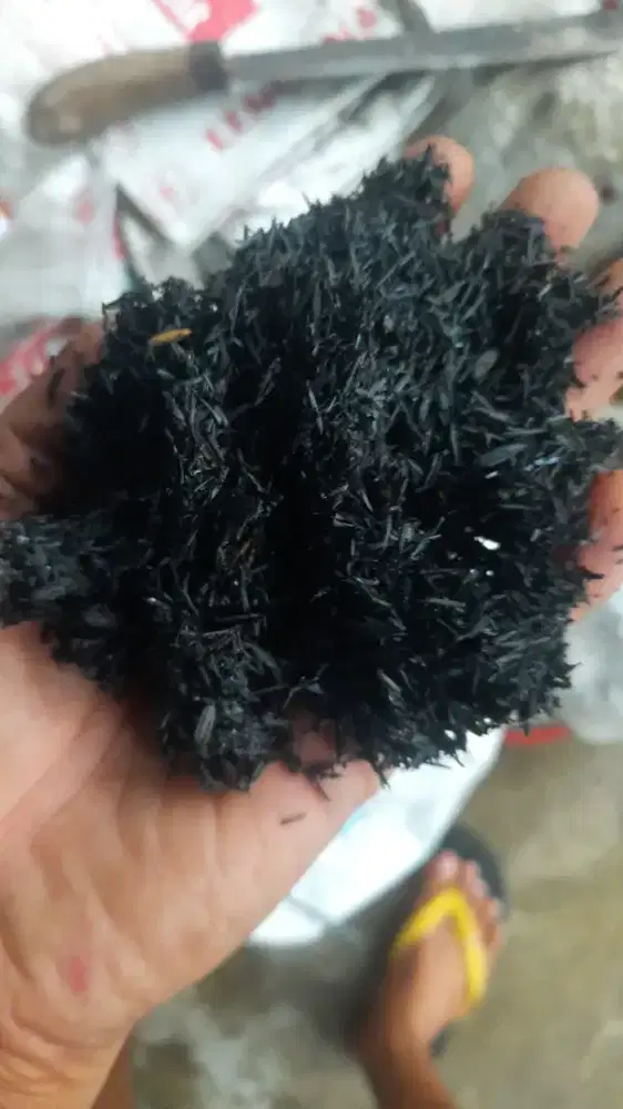 Sekam bakar media tanam