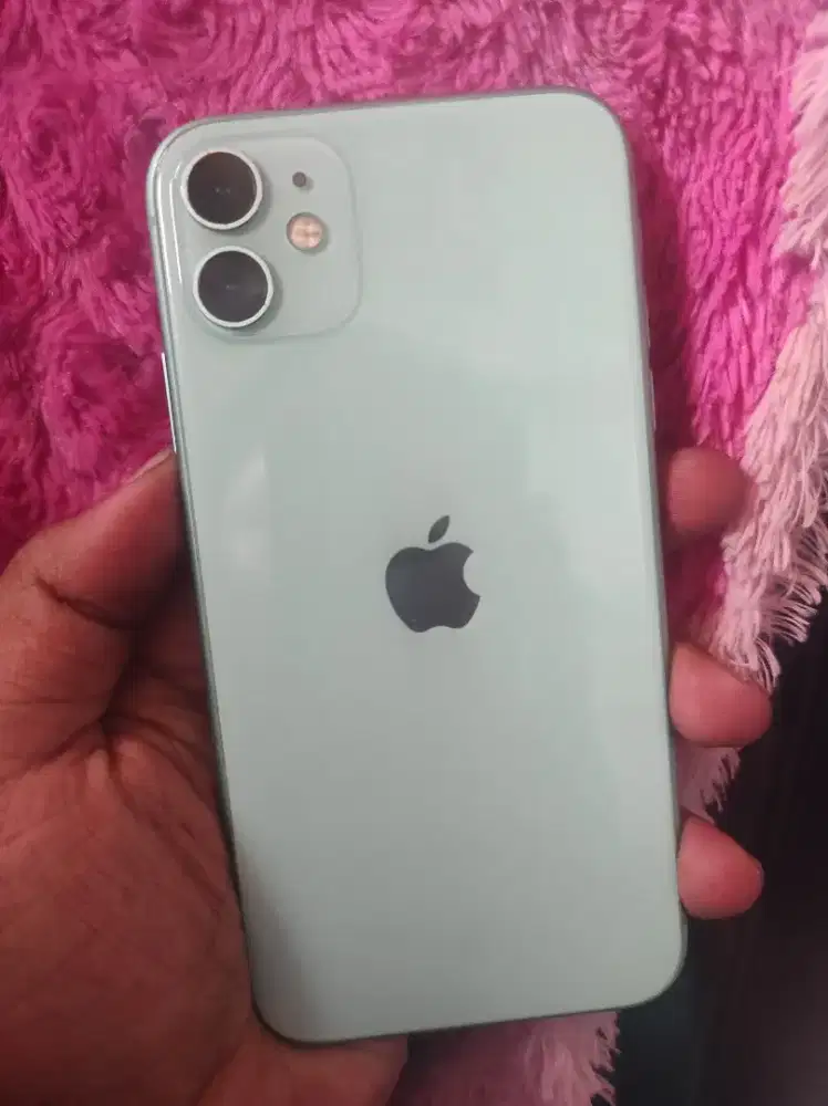 iPhone 11 iBox digimap