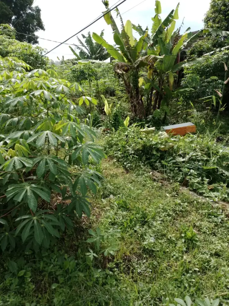 Dijual Tanah Pinggir Jalan Sindang Panon - 36 Tumbak Akte