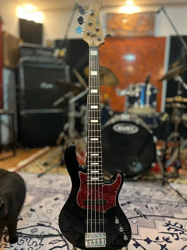 Cort Gb35jj . Rare bass. 5 senar kondisi istimewa