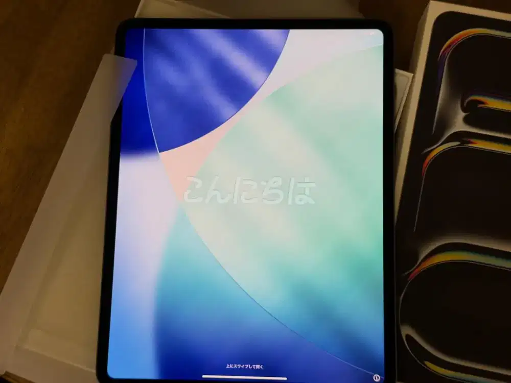 ipad pro M5 256GB WIFI+cell