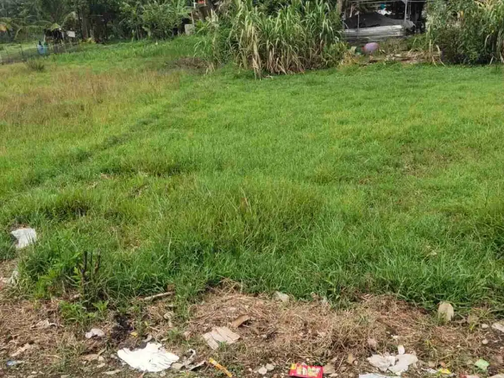 DIJUAL TANAH SHM LOKASI KLAPANUNGGAL
