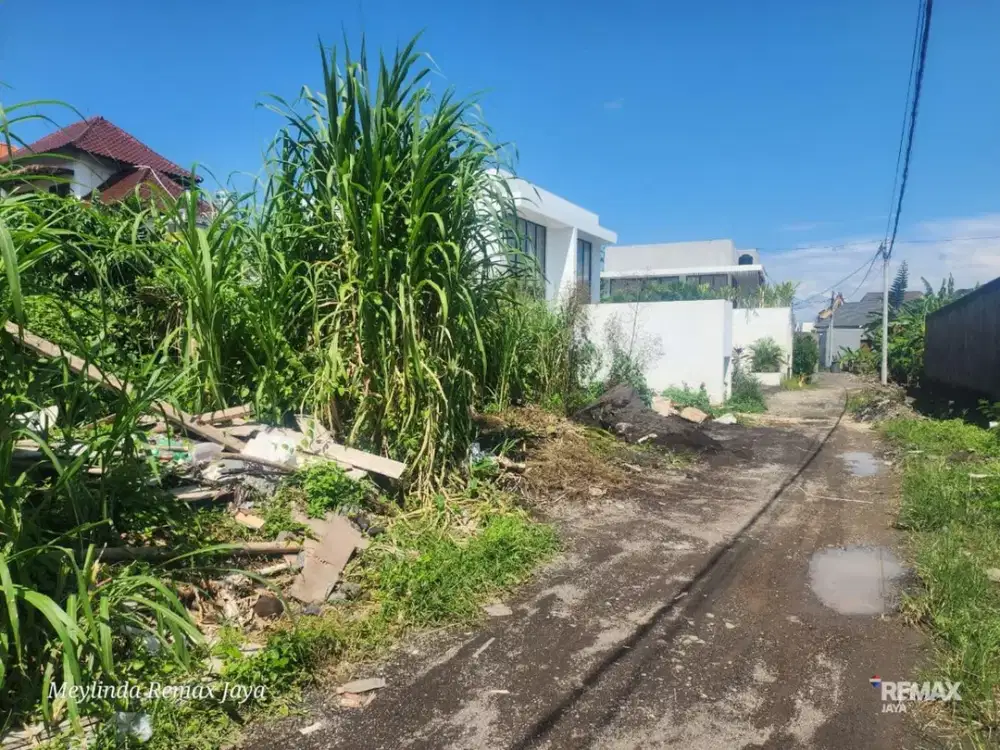 Tanah 5 are dijual di Tibubeneng, Canggu.