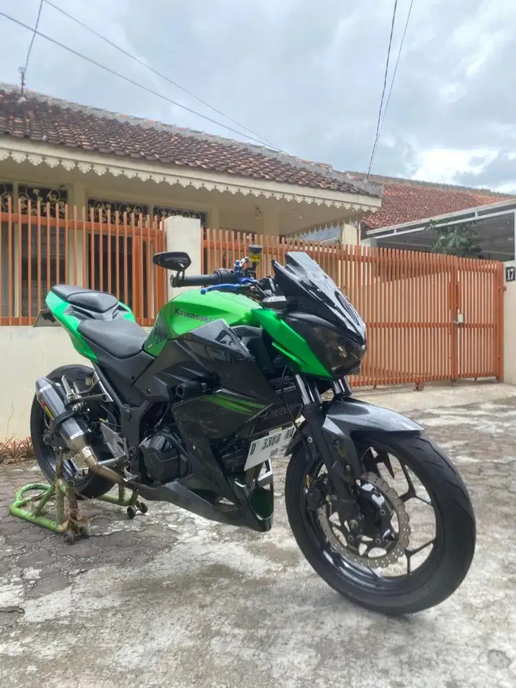 Z250 2 cylinder 2014