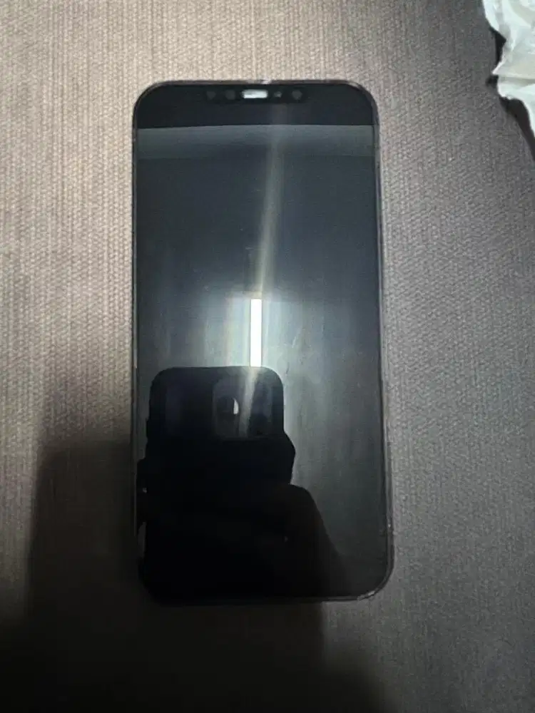 Iphone 12 Pro Max 256