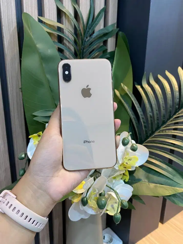 sec inter xs 256gb gold