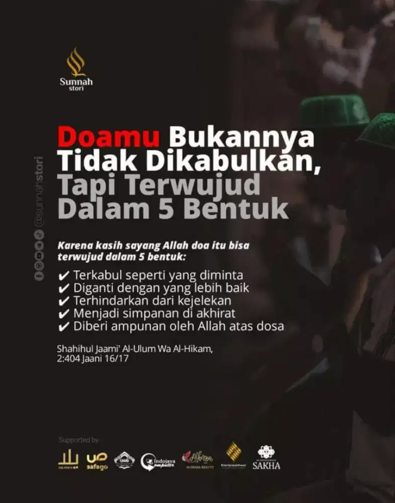 Jasa Penitipan Kucing Harian