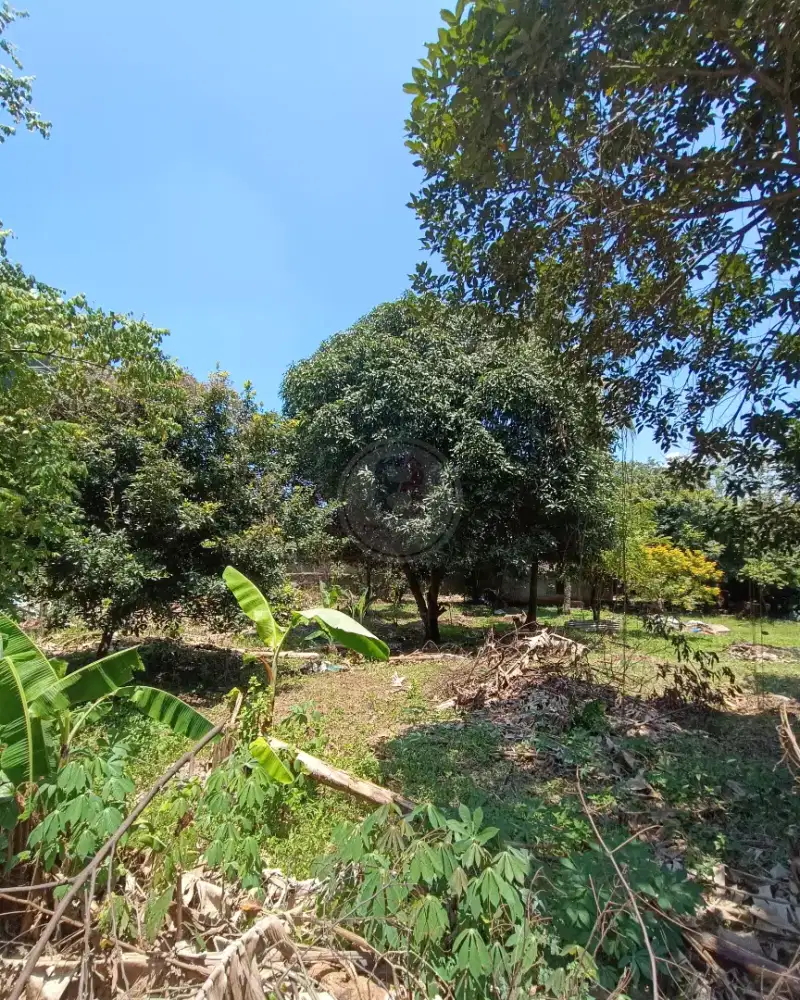 Tanah Kavling Murah Di Adam Malik Dekat Petukangan Pesanggrahan Jaksel