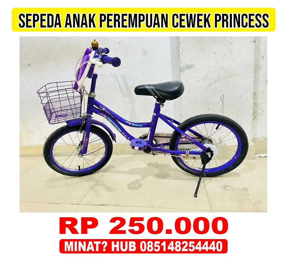 Sepeda Anak Perempuan Princes