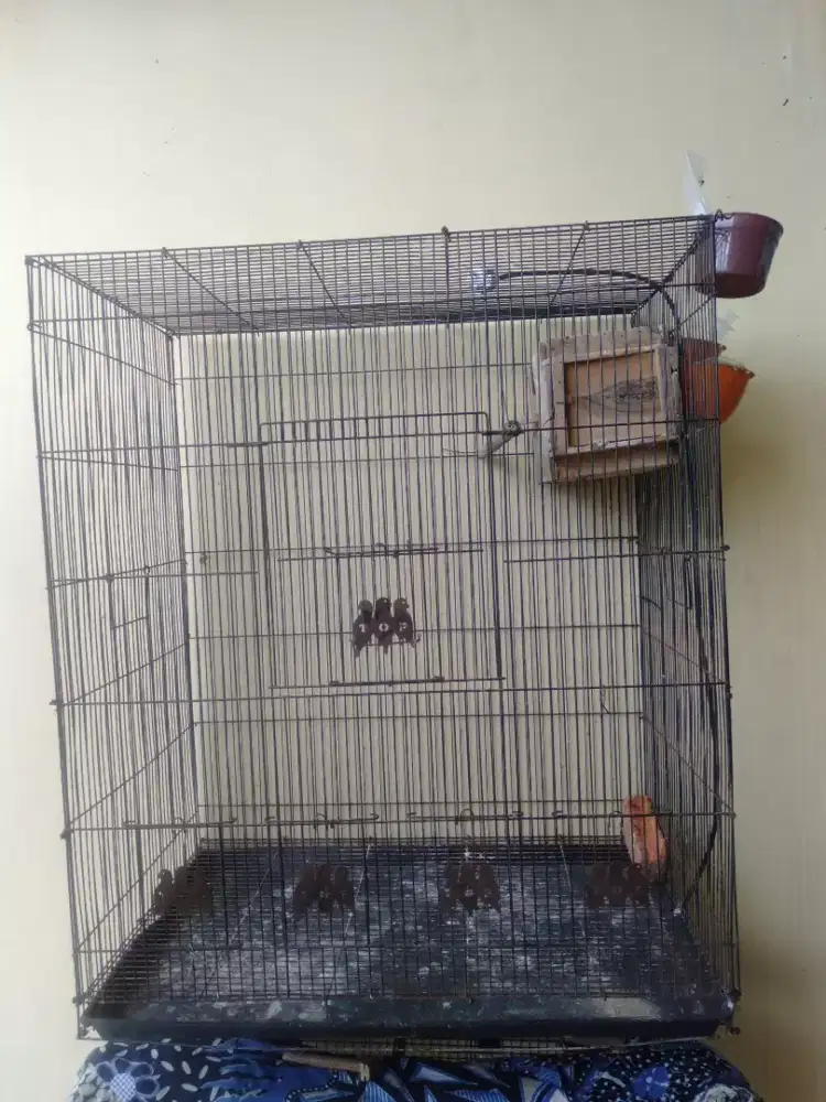 Kandang burung besar