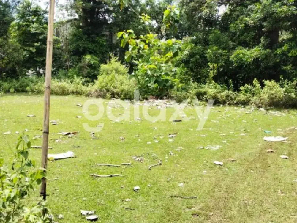 TANAH DEKAT PANTAI BALANGAN DI JIMBARAN BADUNG, BALI