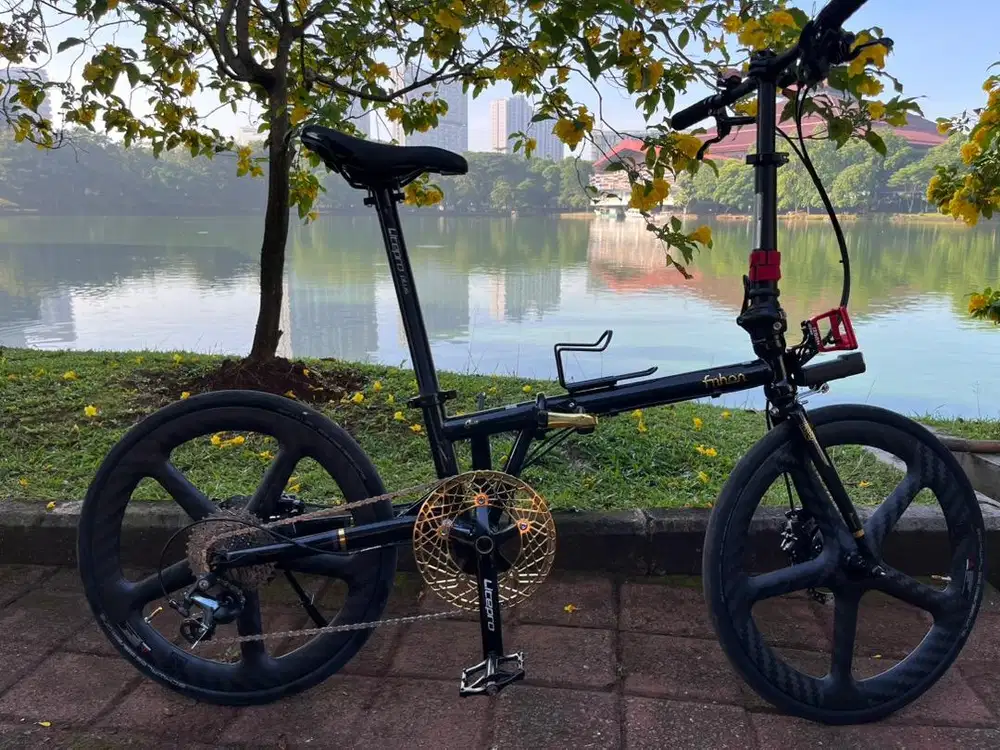 Fnhon Gust 20inch Chromollyn