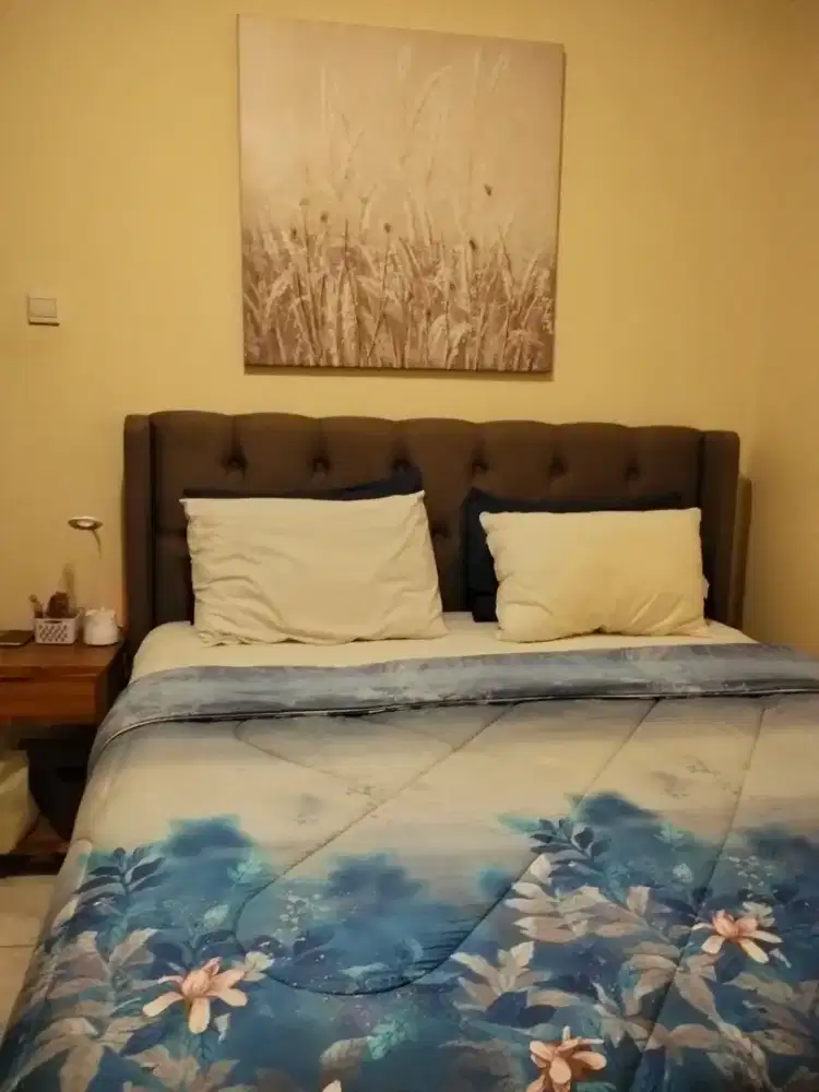 Tempat tidur king koil