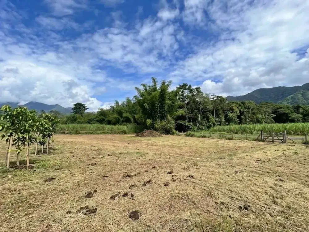 tanah kavling 80 jutaan kota malang, bisa angsuran