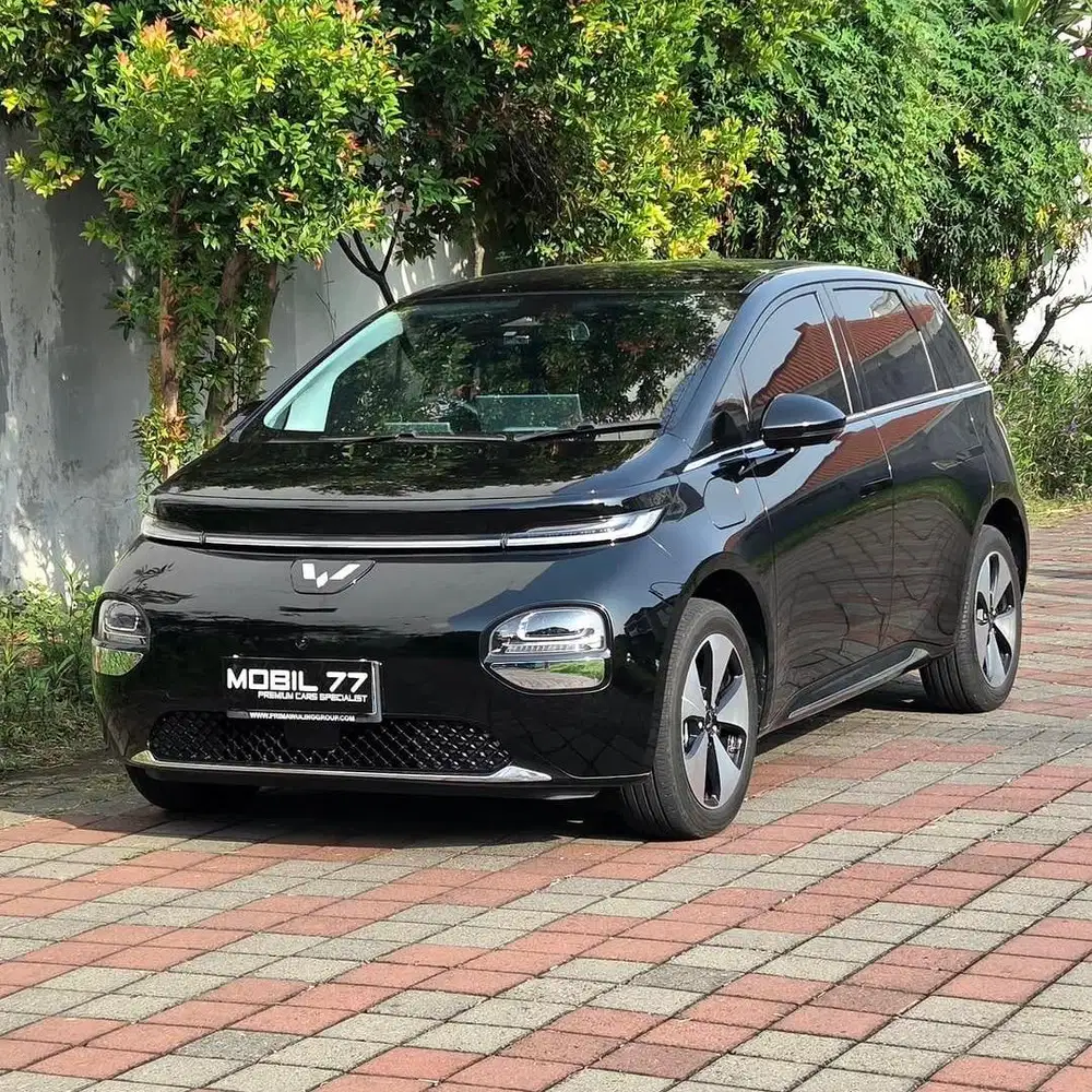 Wuling Cloud EV Pro (460 KM) - 2024 (Like New Condition)