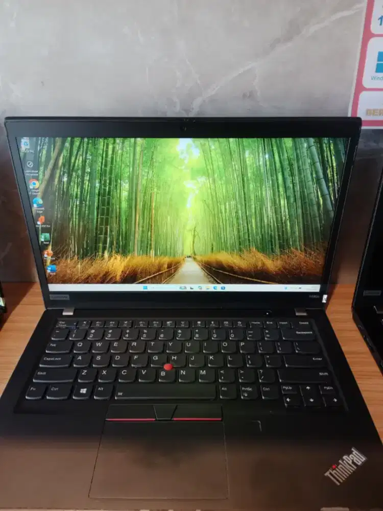 LENOVO THINKPAD T490s