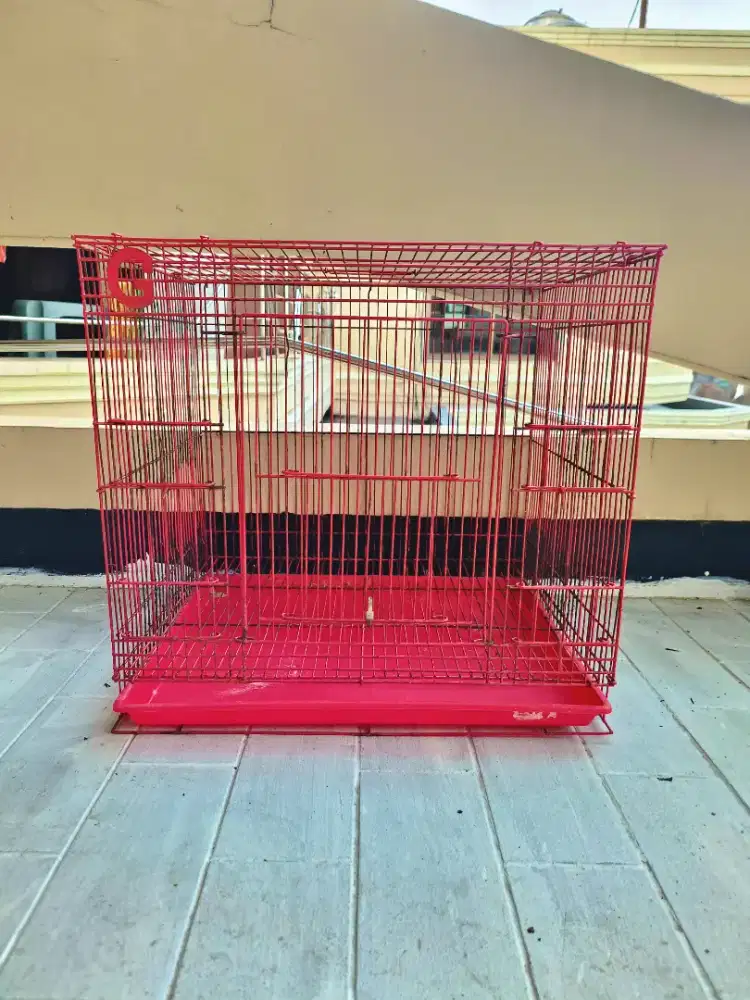 Kandang Hewan (Kelinci, Burung, Sugar glider)