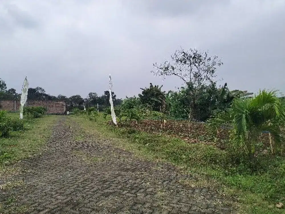 Rumah Premium di Kawasan Asri – Cocok untuk Hunian atau Investasi