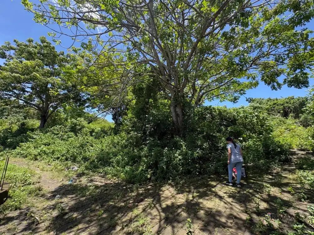 Tanah Premium 11 Are View Laut Dijual, di Area Siligita Nusa Dua