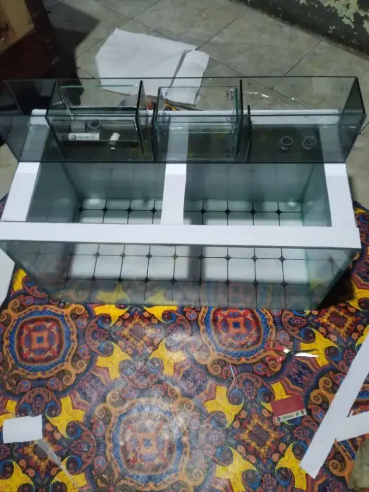 Aquarium murah meriah