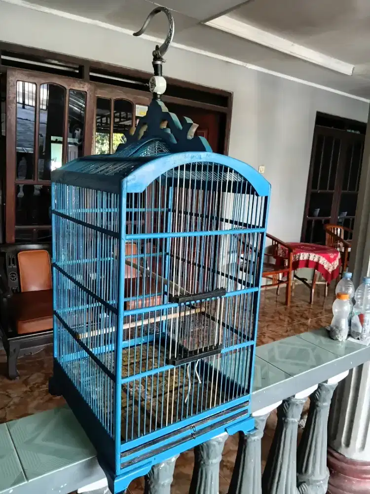 Sangkar cocok untuk kenari