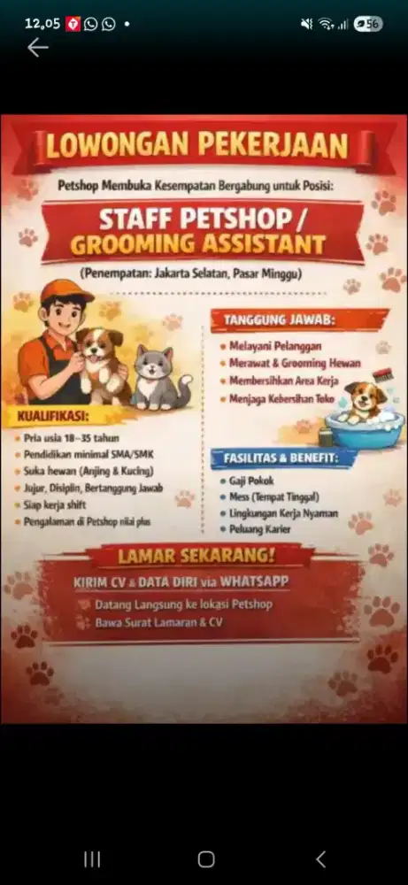 DIBUTUHKAN SEGERA KARYAWAN PETSHOP