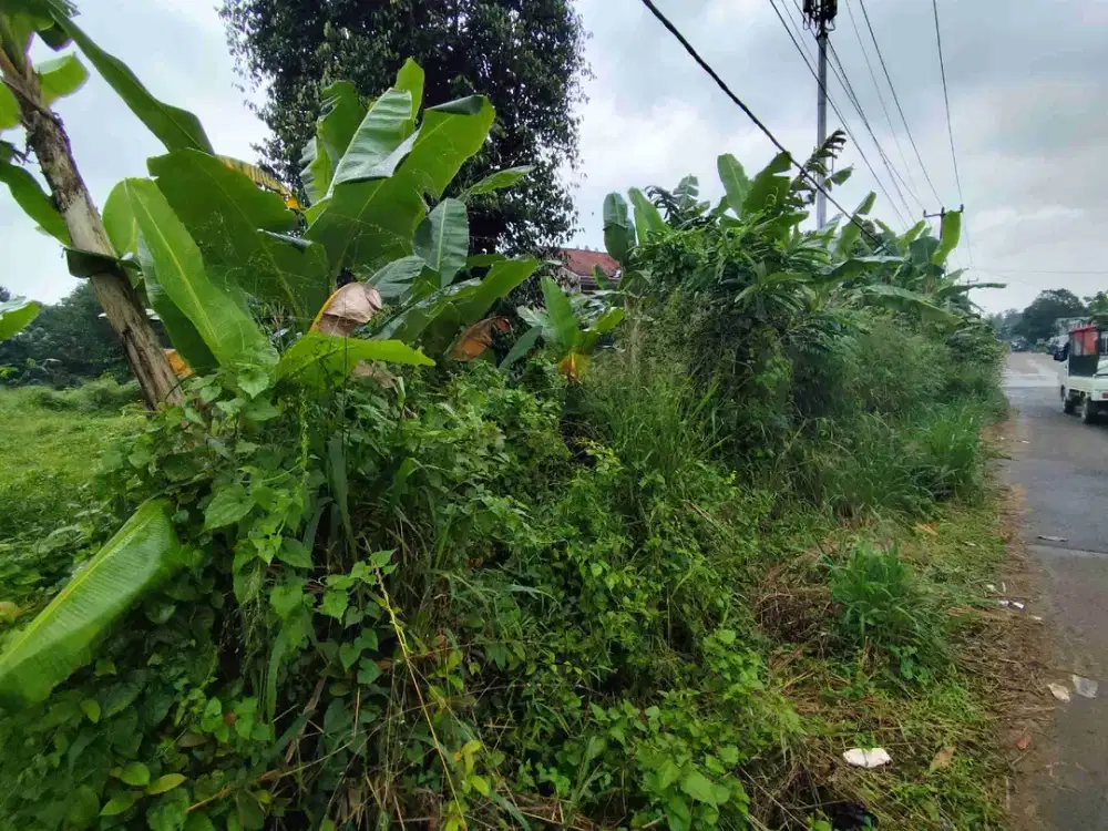 Tanah Strategis Dijual di BSD Lingkar Selatan, Dekat QBig BSD