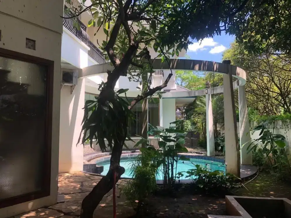 Disewakan Rumah Executif Private Kolam Renang Di Patra Kuningan Jakarta Selatan