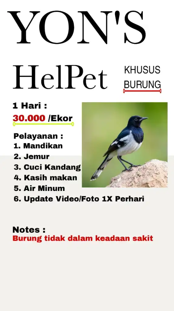 Penitipan Burung ( Berbagai Jenis Burung Kecil )