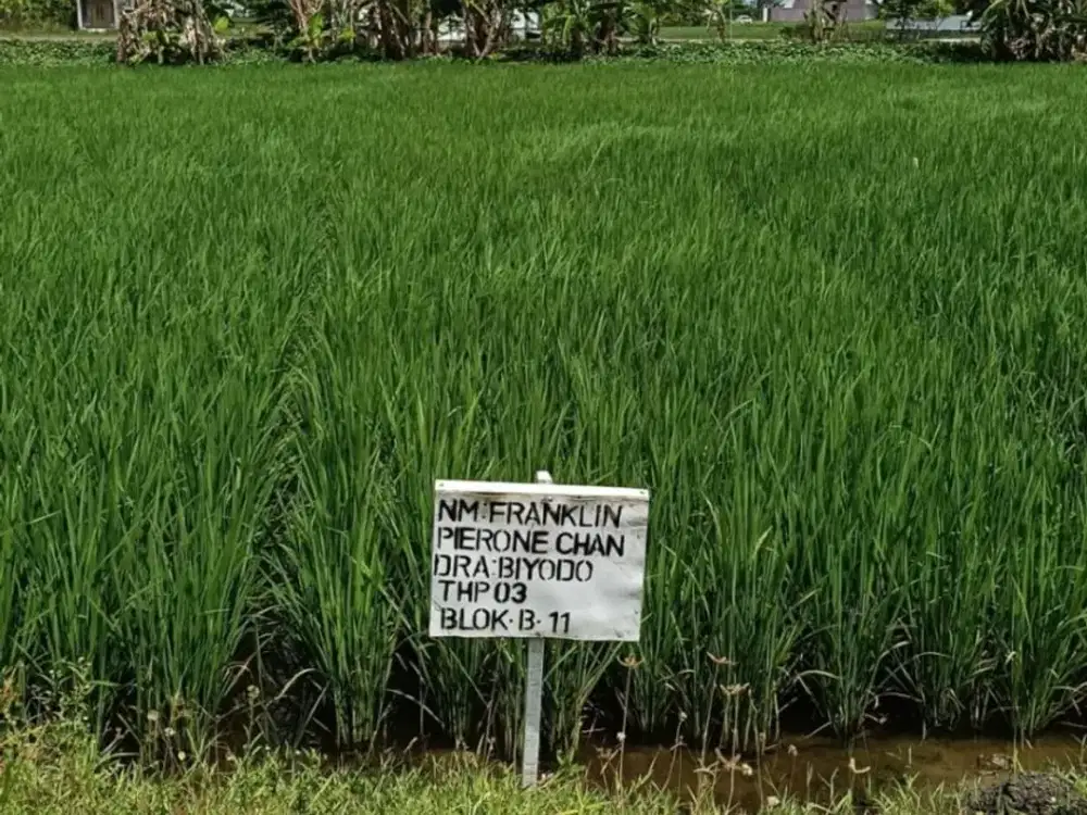 Dijual Cepat Tanah di Menganti, Gresik