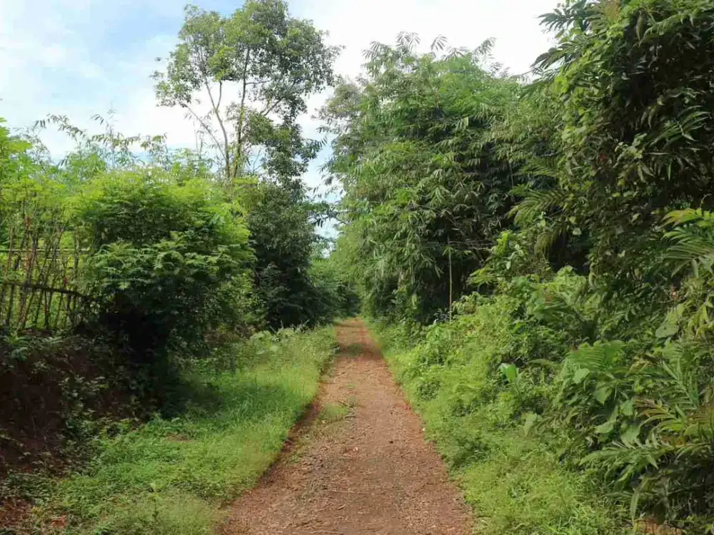 Dijual Murah Tanah Kebun di Ciselang Munjul Jaya Kota Purwakarta