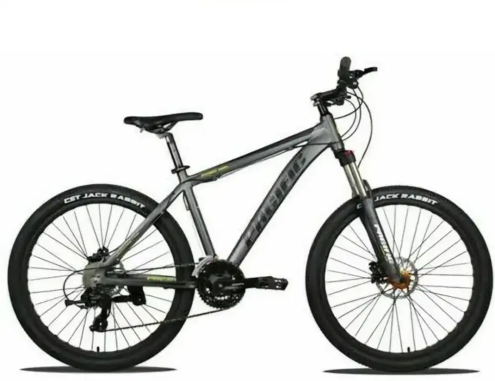 Dijual bekas Sepeda Gunung MTB Pacific Invert 500