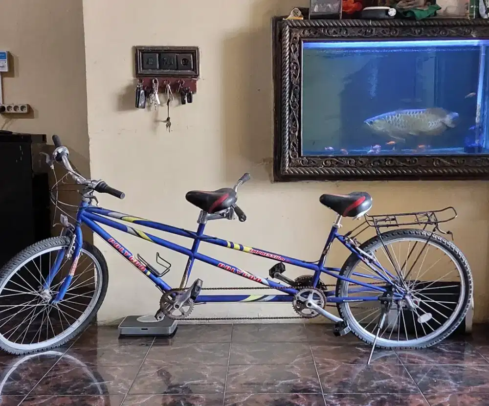 SEPEDA TANDEM ASLI POLIGON