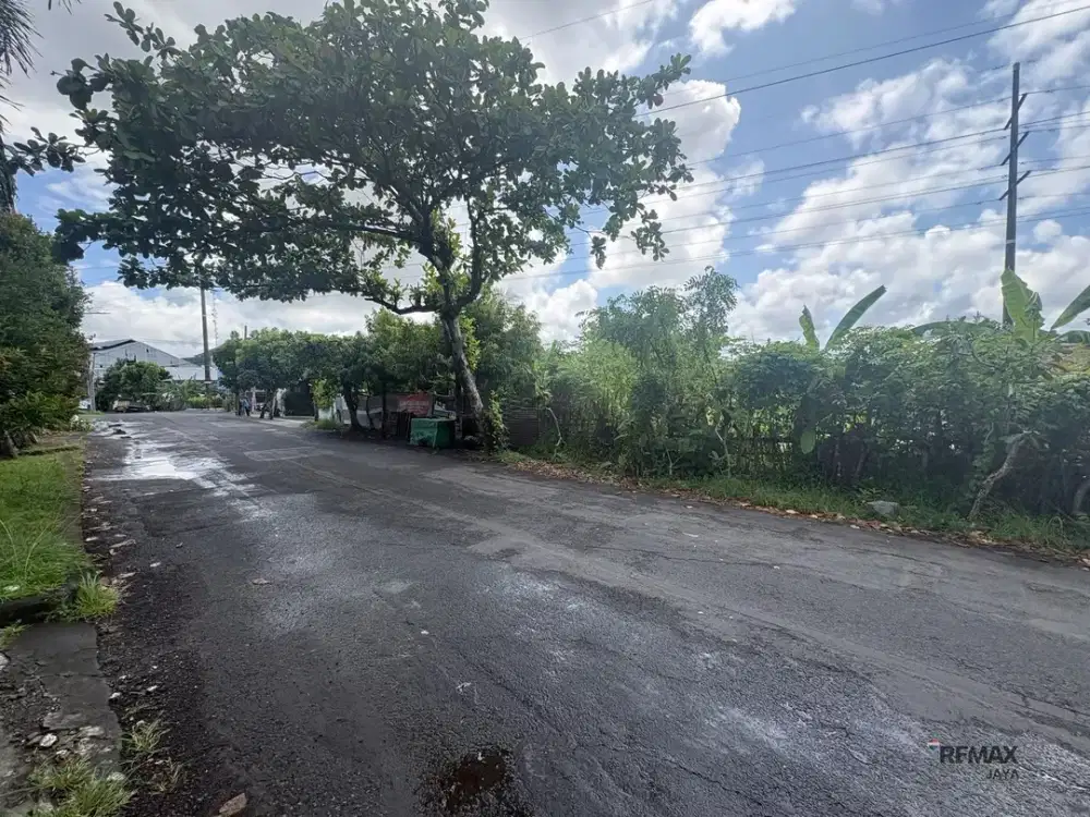 Tanah Strategis 9,4 Are Disewakan, di Area Mudutaki Dalung