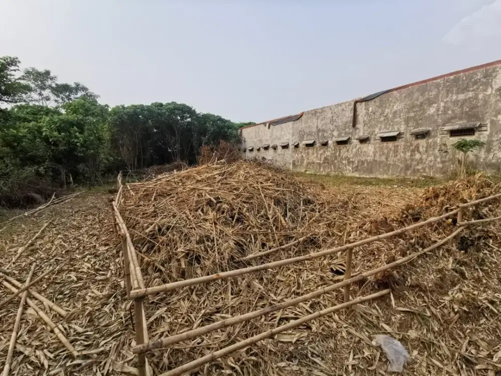 DIJUAL TANAH DI KAMPUNG CISAUK ERPAK